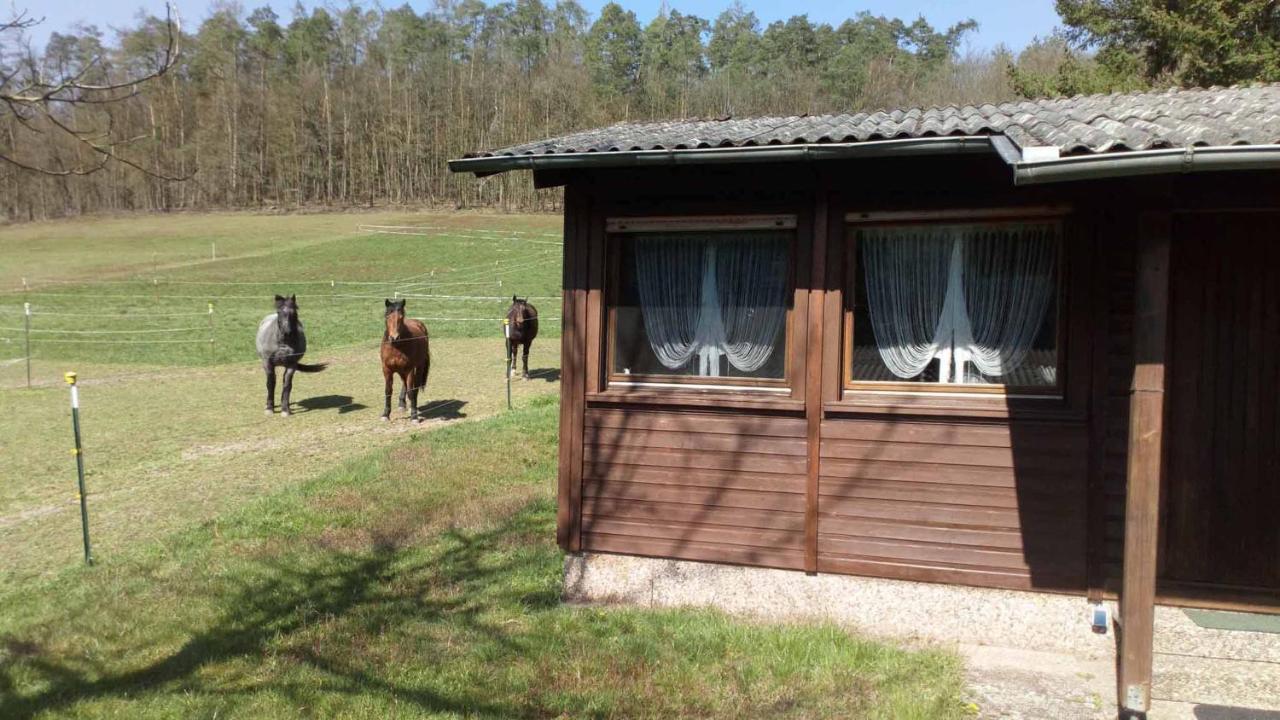 GräfendorfReitstation Rossmuehleアパートメント エクステリア 写真